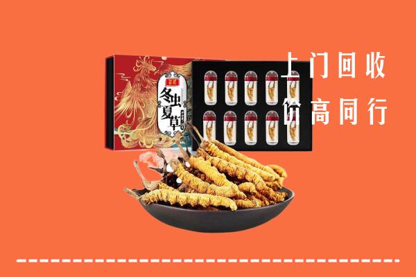 附近收购：锡山区回收虫草